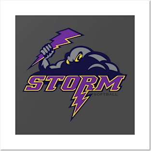 Storm Softball Posters and Art